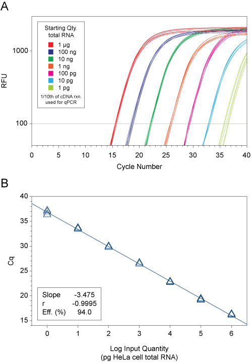 QScript XLT CDNA SuperMix | First-Strand CDNA Synthesis Kit | Quantabio